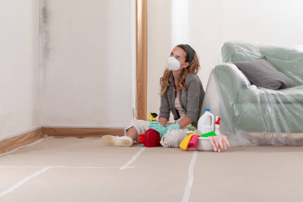 Reliable Mold Remediation contractor in Old Bethpage, NY by WQB Mold Removal